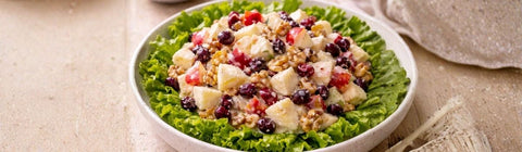 Apple Cranberry Salad