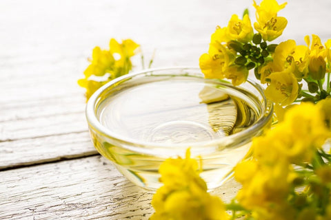 Are Seed Oils Bad for You? Not According to Science